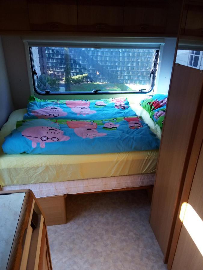 Urlaub Machen Direkt Am Irland Das Kinderparadies In Twisteden Im Grossen Garten Bei Privatleute Fur Maximal Sechs Personen Kevelaer Ngoại thất bức ảnh
